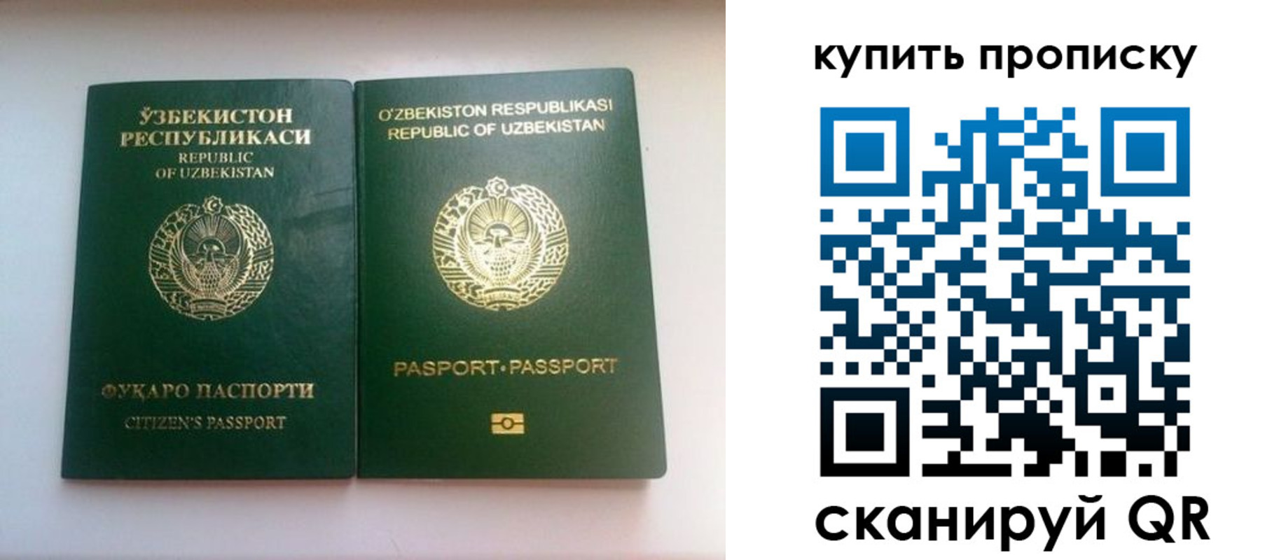 временная прописка в Краснодарском крае